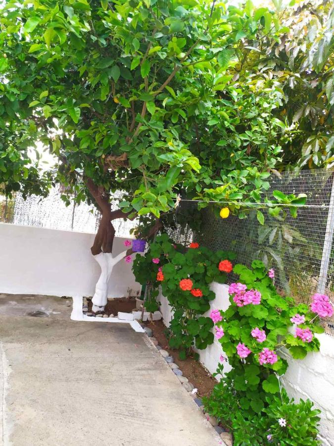 Meimetis House Appartamento